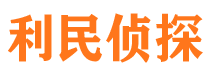 城子河侦探